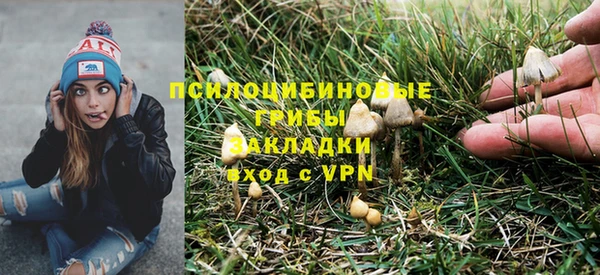 кокс Богданович