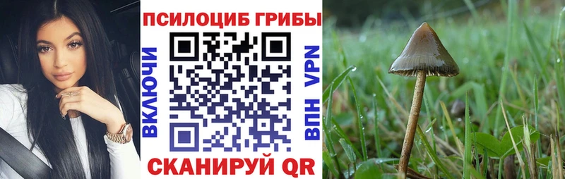 магазин  наркотиков  Наро-Фоминск  Галлюциногенные грибы Cubensis 
